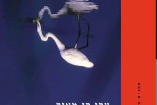 מי שסוכתו נופלת