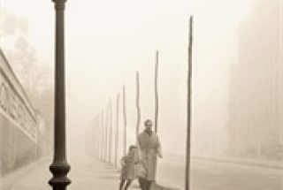 image_tzilashel_master