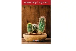 קנאת סופרות מאיה ערד